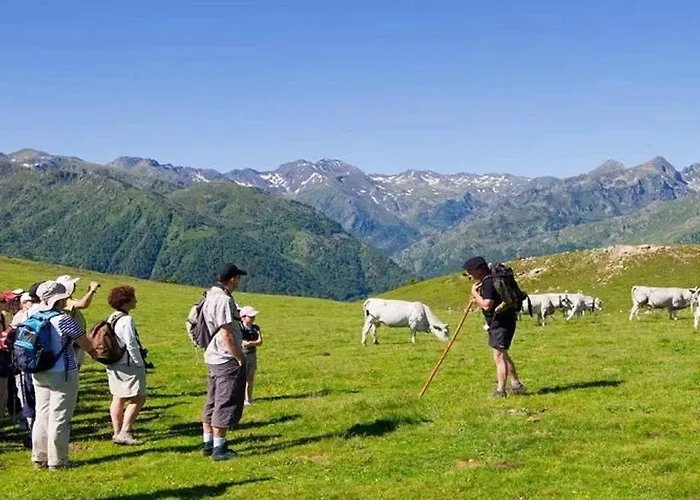 Confortable 4 Pers Avec Terrasse - Api-1-52-391