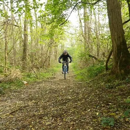 Confortable 4 Pers Avec Terrasse - Api-1-52-391 Kamp alanı Les Cabannes (Ariege)