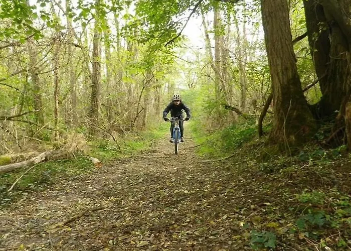 Confortable 4 Pers Avec Terrasse - Api-1-52-391 Κάμπινγκ Les Cabannes (Ariege)